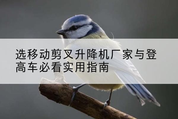 源汇电动升降机厂家-选移动剪叉升降机厂家与登高车必看实用指南