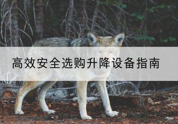 源汇升降货梯厂家推荐-*安全选购升降设备指南