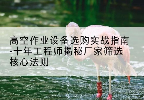 源汇剪叉式升降机厂家-高空作业设备选购实战指南-十年工程师揭秘厂家筛选核心法则